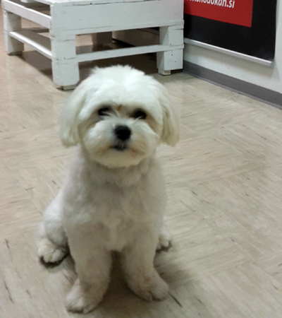 gallery_freetime6 Kimono, kosmata verzija